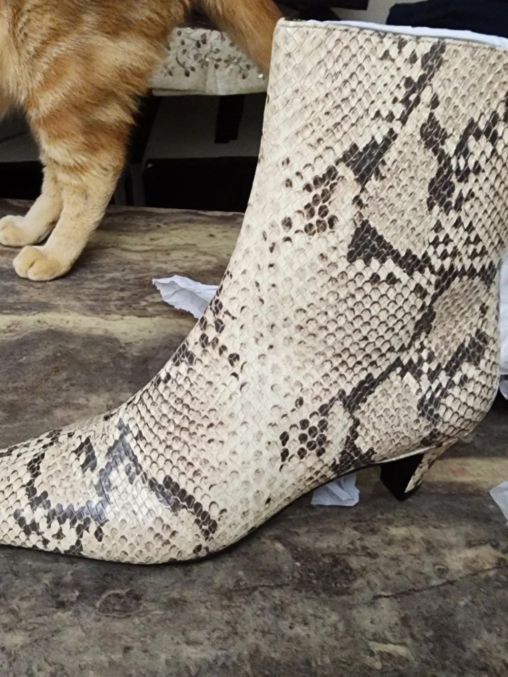 SCHUTZ Snake-Print Ankle Booties in Cream and Brown